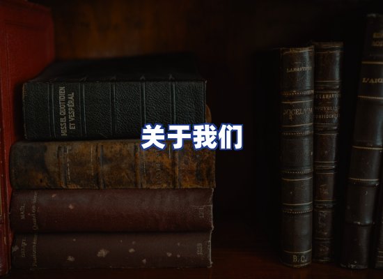 专业团队